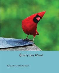 bokomslag Bird is the Word