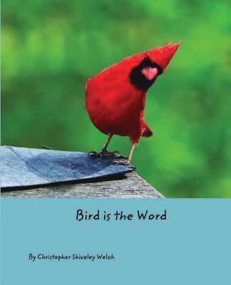 Bird is the Word 1