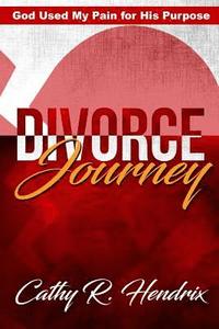 bokomslag Divorce Journey