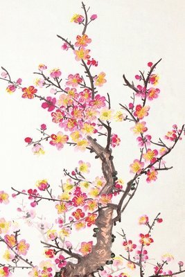 今日圣言 (The Word For You Today)