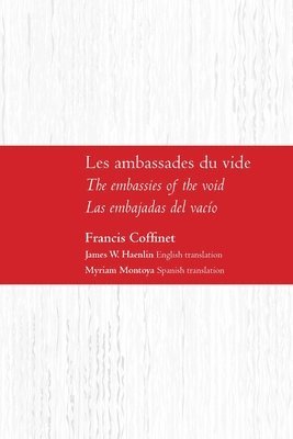 bokomslag Les ambassades du vide