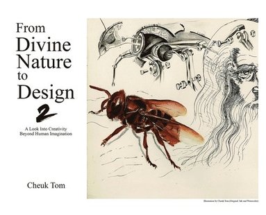 bokomslag From Divine Nature to Design 2