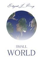 bokomslag Small World