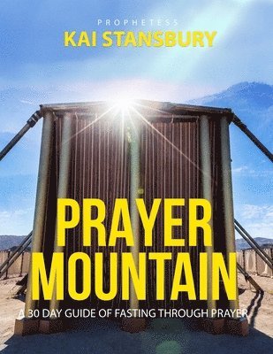 bokomslag Prayer Mountain