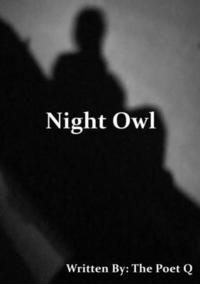 bokomslag Night Owl