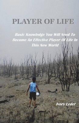 Player of Life 1