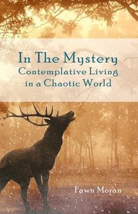 bokomslag In The Mystery