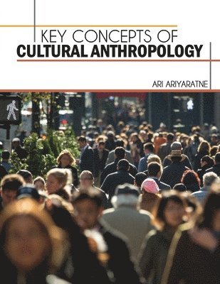bokomslag Key Concepts of Cultural Anthropology