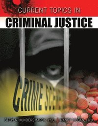 bokomslag Current Topics in Criminal Justice