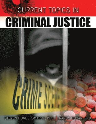 bokomslag Current Topics in Criminal Justice