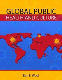 bokomslag Global Public Health and Culture