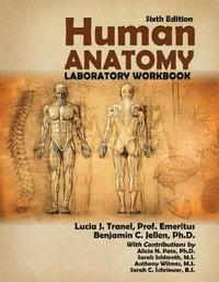 bokomslag Human Anatomy Laboratory Workbook