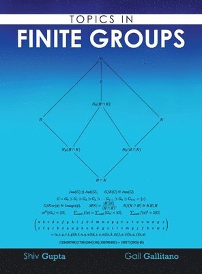 Topics in Finite Groups 1