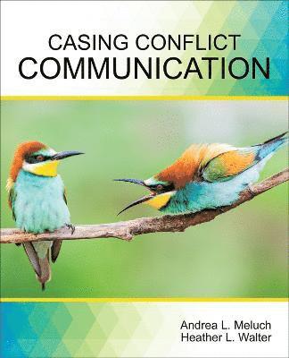 bokomslag Casing Conflict Communication