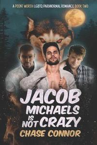 bokomslag Jacob Michaels Is Not Crazy (A Point Worth LGBTQ Paranormal Romance Book 2)
