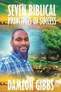 bokomslag Seven Biblical Principles of Success