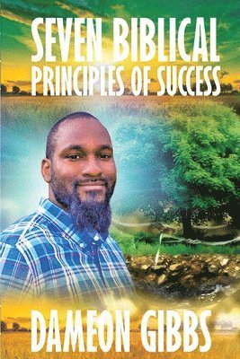 bokomslag Seven Biblical Principles of Success