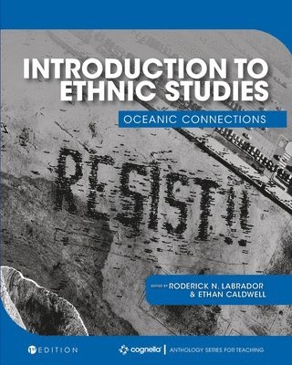 bokomslag Introduction to Ethnic Studies