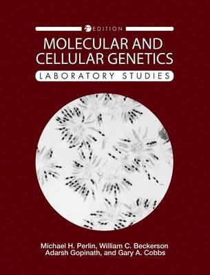 bokomslag Molecular and Cellular Genetics: Laboratory Studies