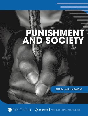 bokomslag Punishment and Society