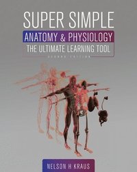 bokomslag Super Simple Anatomy & Physiology