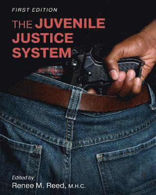 bokomslag The Juvenile Justice System