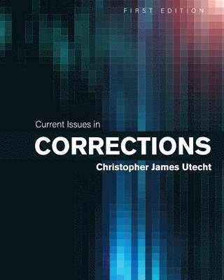 Current Issues in Corrections 1