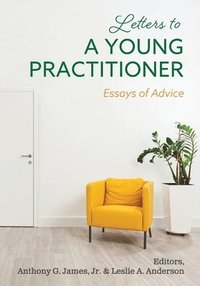 bokomslag Letters to a Young Practitioner