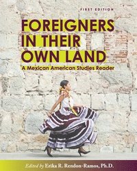 bokomslag Foreigners in Their Own Land