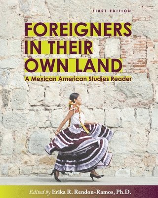 bokomslag Foreigners in Their Own Land