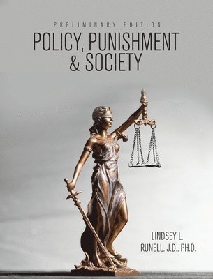 bokomslag Policy, Punishment and Society