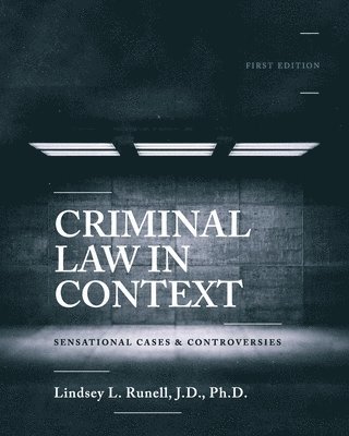 bokomslag Criminal Law in Context