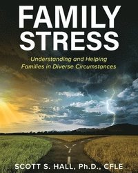 bokomslag Family Stress