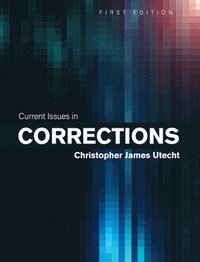 bokomslag Current Issues in Corrections