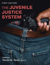 bokomslag The Juvenile Justice System