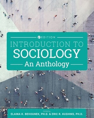 bokomslag Introduction to Sociology