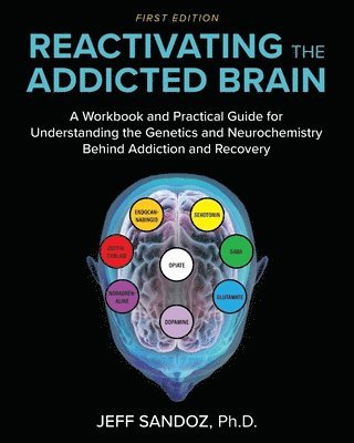 Reactivating the Addicted Brain 1