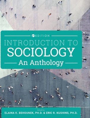 bokomslag Introduction to Sociology