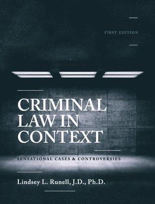 bokomslag Criminal Law in Context