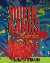 bokomslag Youth Gangs