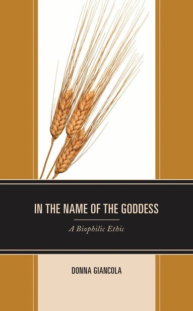Donna Giancola - In the Name of the Goddess, Häftad