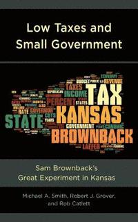 bokomslag Low Taxes and Small Government