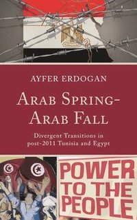 bokomslag Arab Spring-Arab Fall