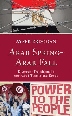 Ayfer Erdogan - Arab Spring-Arab Fall, Häftad