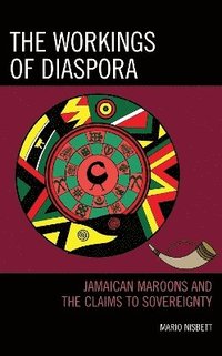 bokomslag The Workings of Diaspora
