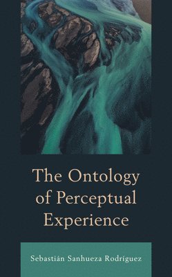 bokomslag The Ontology of Perceptual Experience