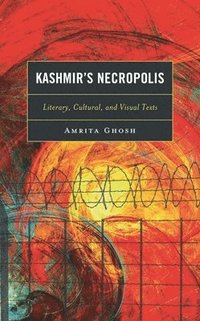 bokomslag Kashmir's Necropolis