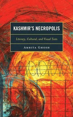 bokomslag Kashmir's Necropolis