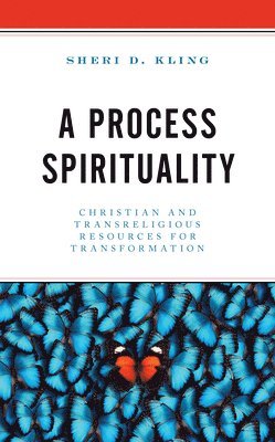 bokomslag A Process Spirituality