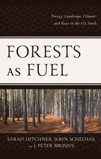 bokomslag Forests as Fuel